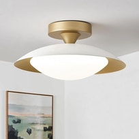 Mid-Century Ceiling Light